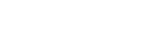 Bravo White Logo